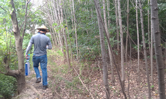 ϳ(jng)_^(q)ո(gu)ccĿ