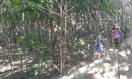 ϳ(jng)_^(q)ո(gu)ccĿ